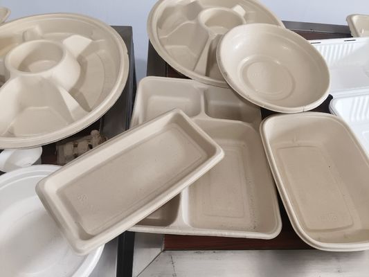  モールドパルプ用自動スプレーコーティングシステム | 精密内部コーティング