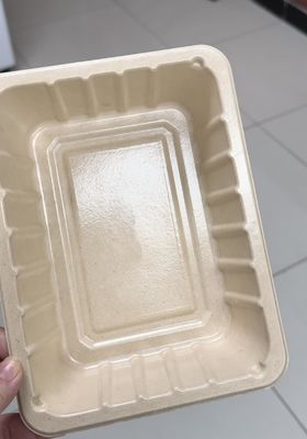 パルプモールド製品用内部スピンコーティングライン - 全自動精密コーティング機