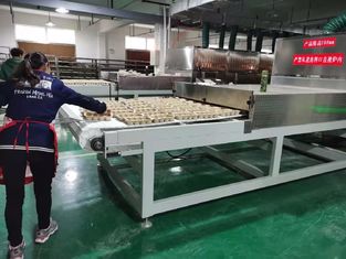 工業用マイクロ波果物乾燥機&ハーブ乾燥機 | 高効率&品質保持