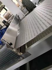 ハーブと果物用連続マイクロ波乾燥装置 | 省エネ&環境に優しい